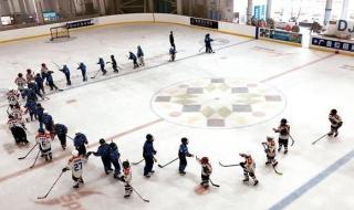 2022冬奥会15大项目